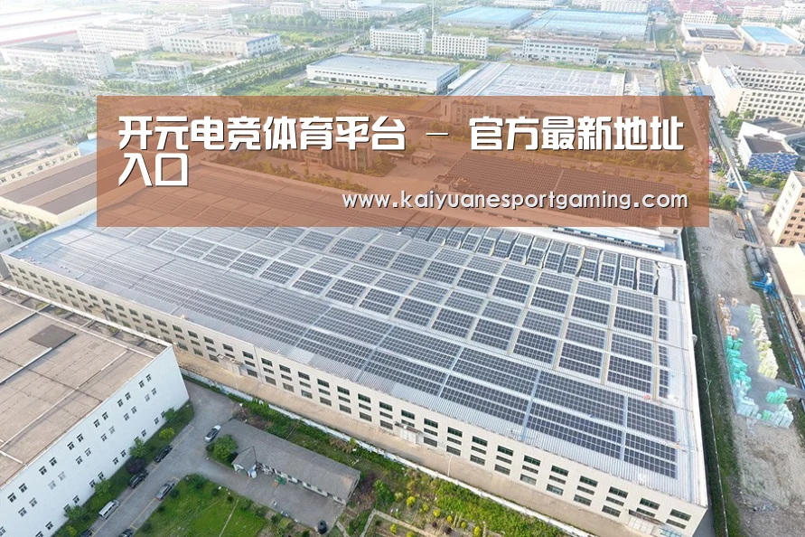 案例展示一