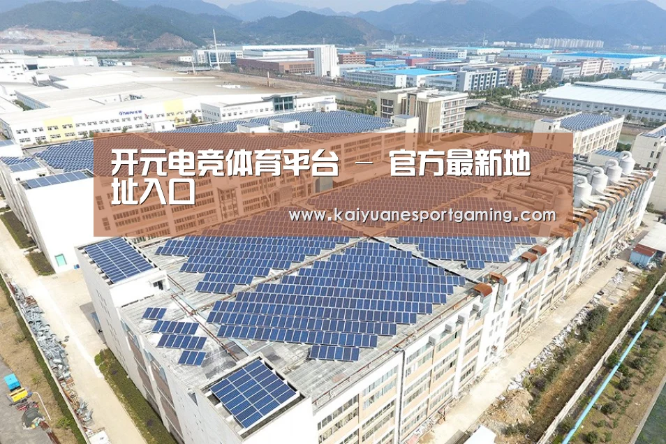 案例展示一