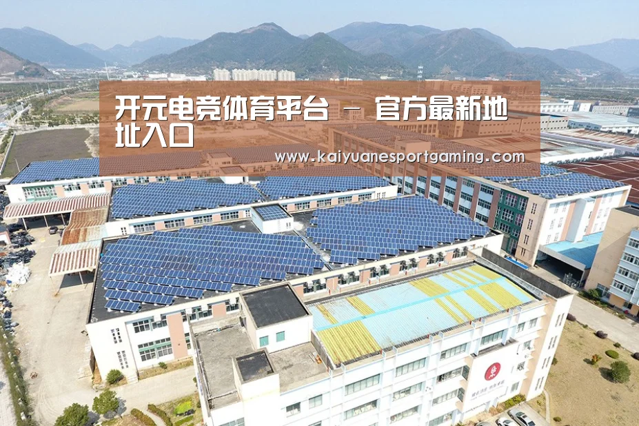 案例展示一