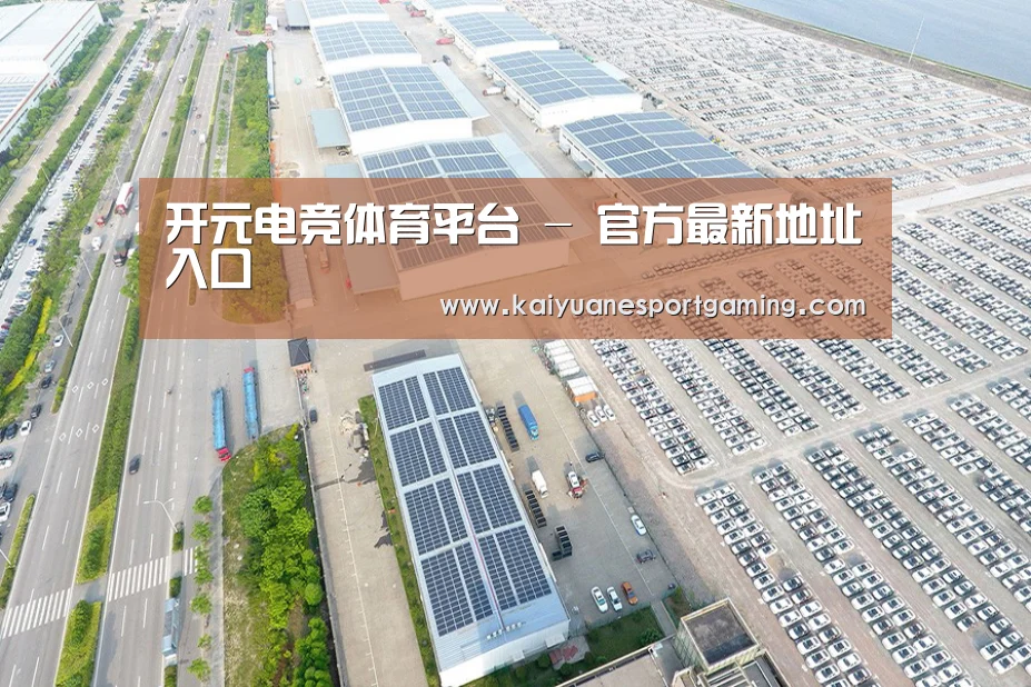 案例展示一
