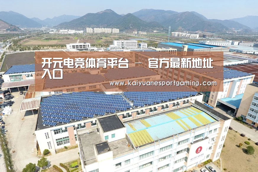 案例展示三