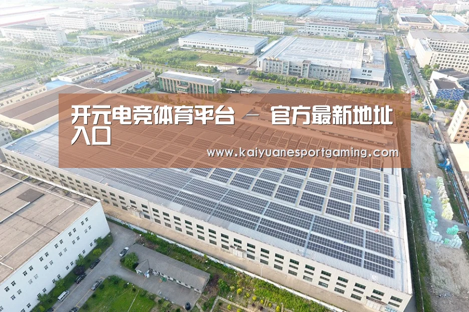 案例展示四